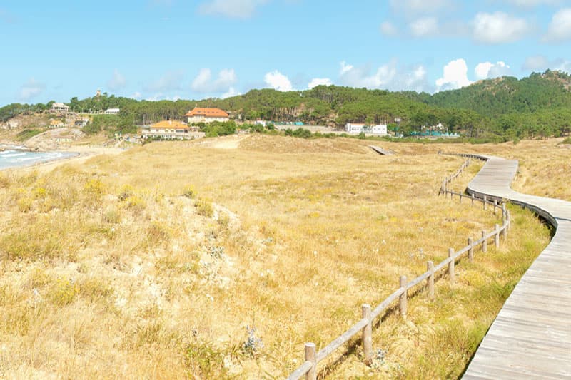 Dunas móviles