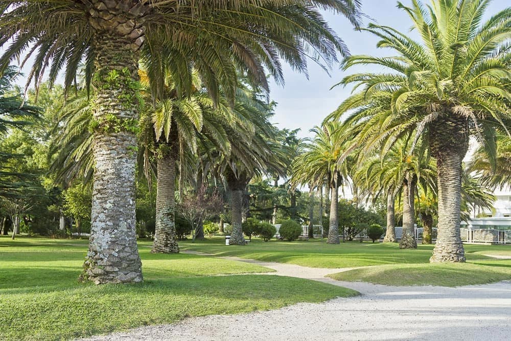 ¿Qué visitar en O Grove?